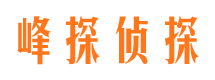 红桥市场调查